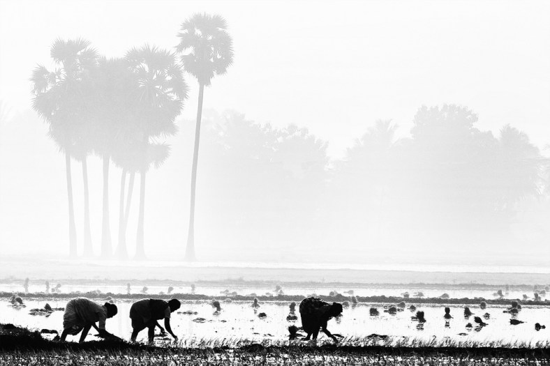 License Attribution Some rights reserved by VinothChandar Agriculture is the backbone of India!!!